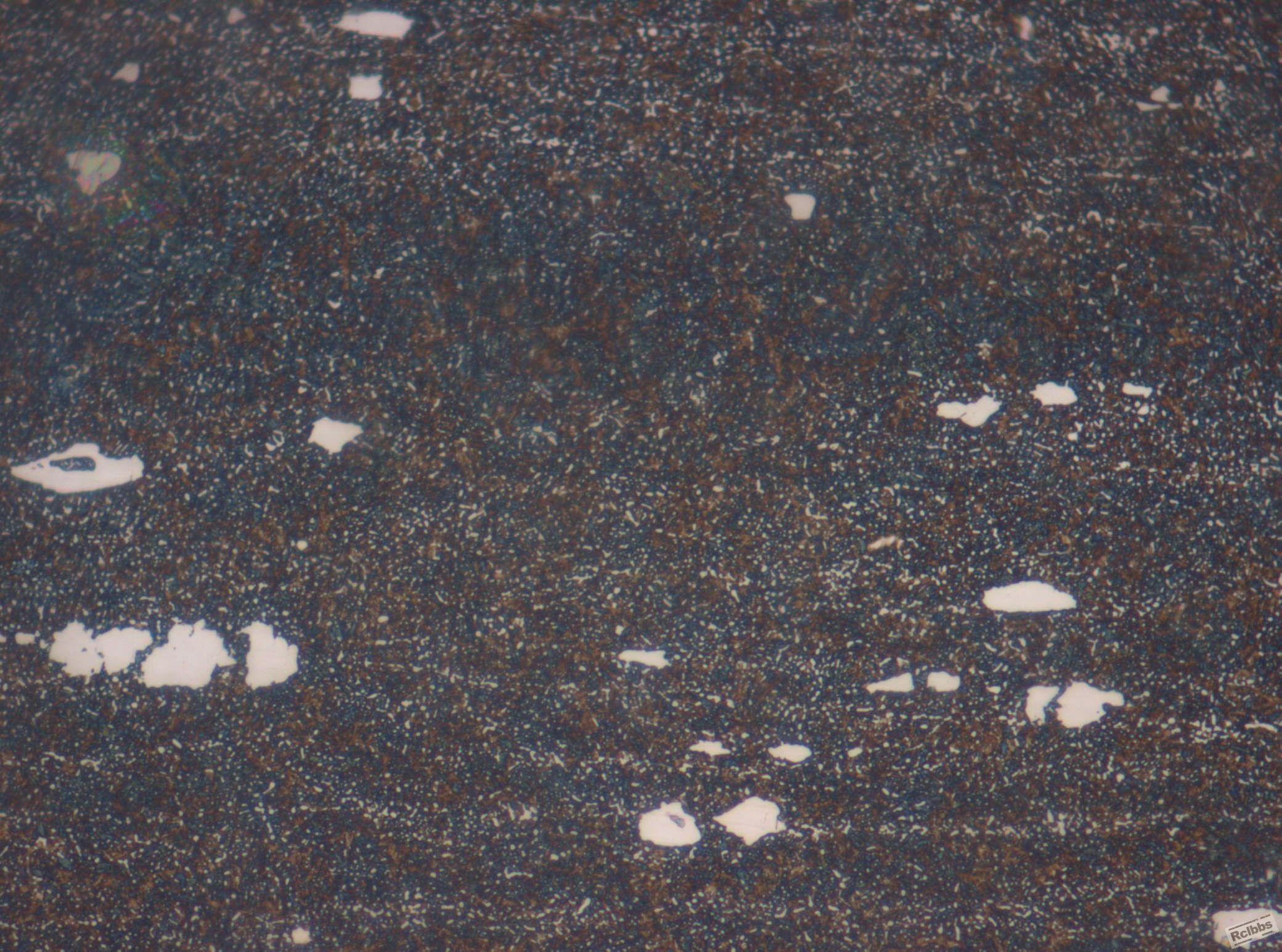 500x-3.jpg