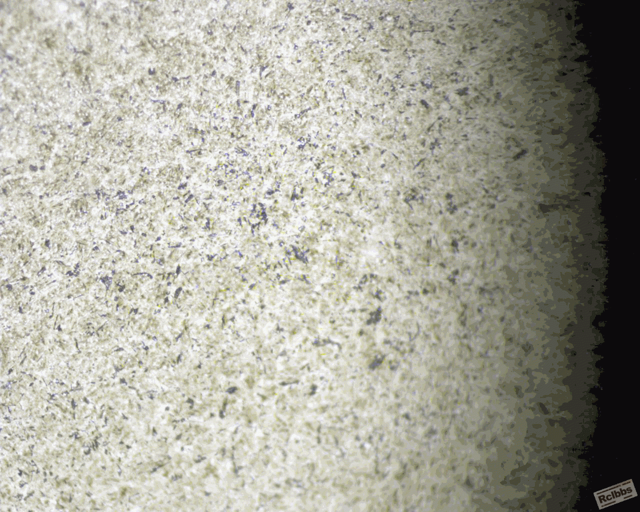 6314外圈500x.gif