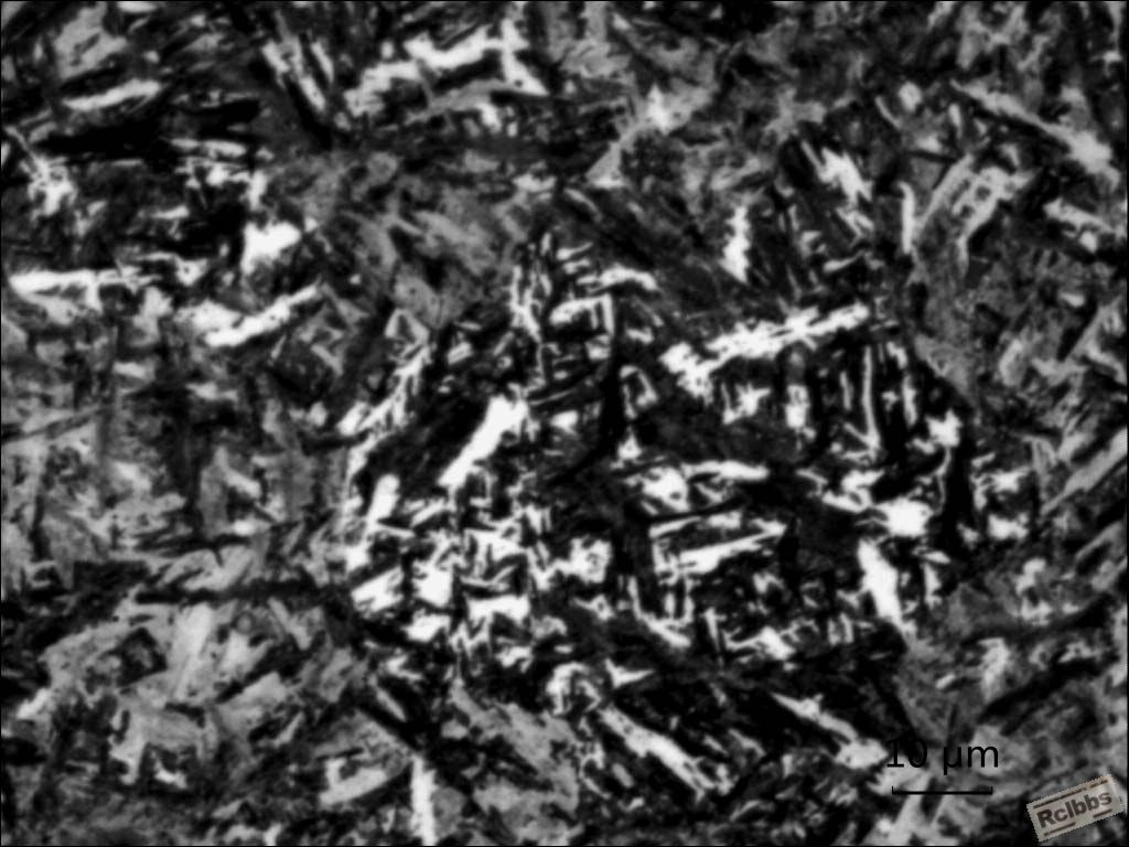 bianxing-x800.jpg