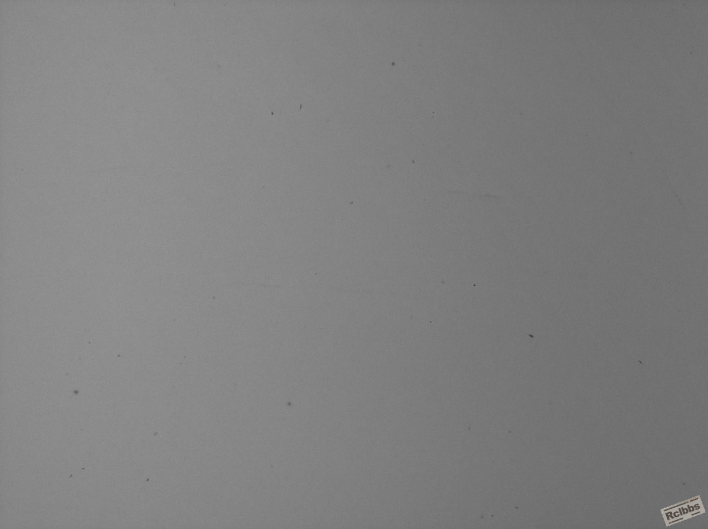 SNAP-105232-0071.jpg