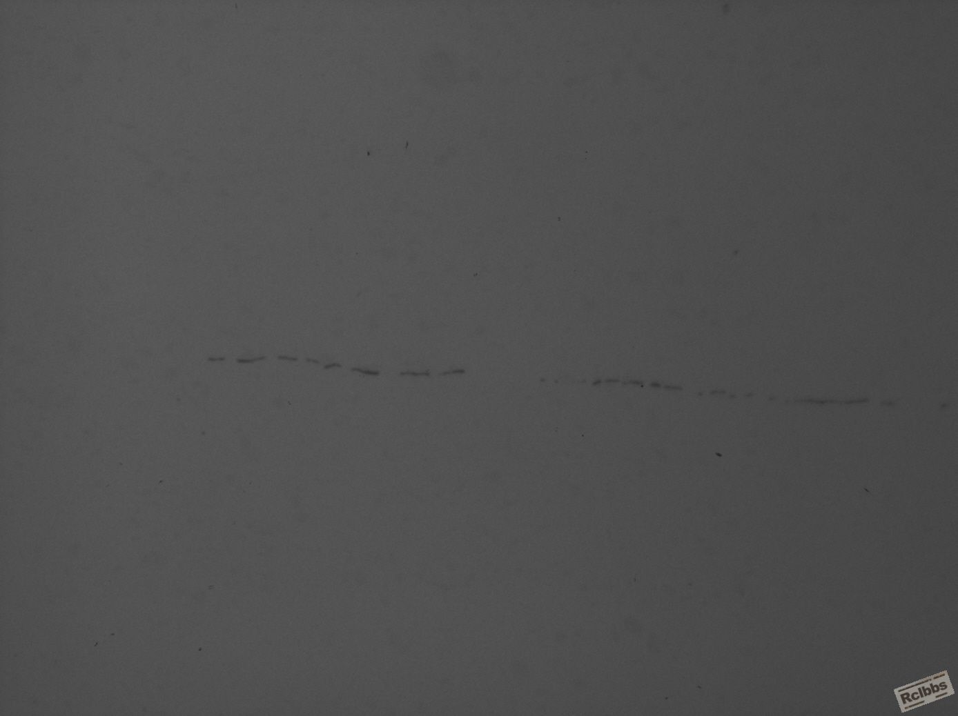 SNAP-105328-0074.jpg