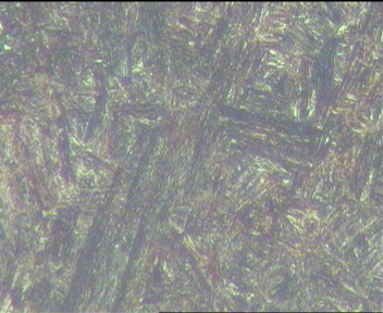 黄色试样600X2.jpg