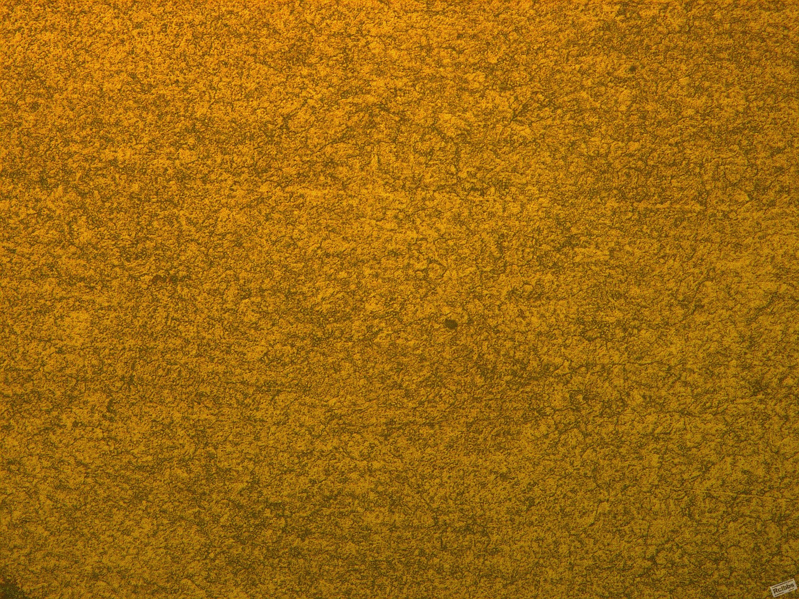 x500-1.jpg