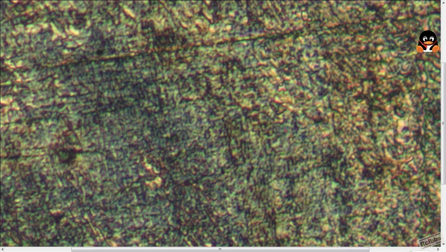 400X.jpg