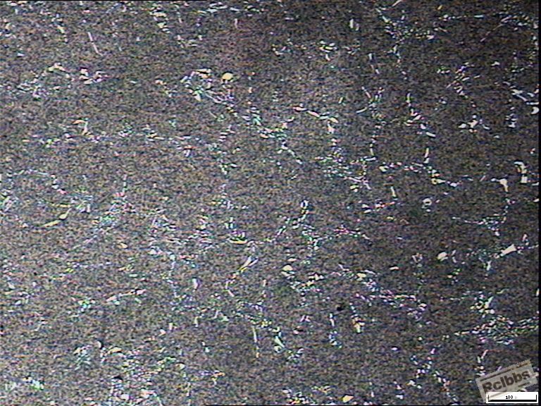 Cr12MoV 刀金相.JPG