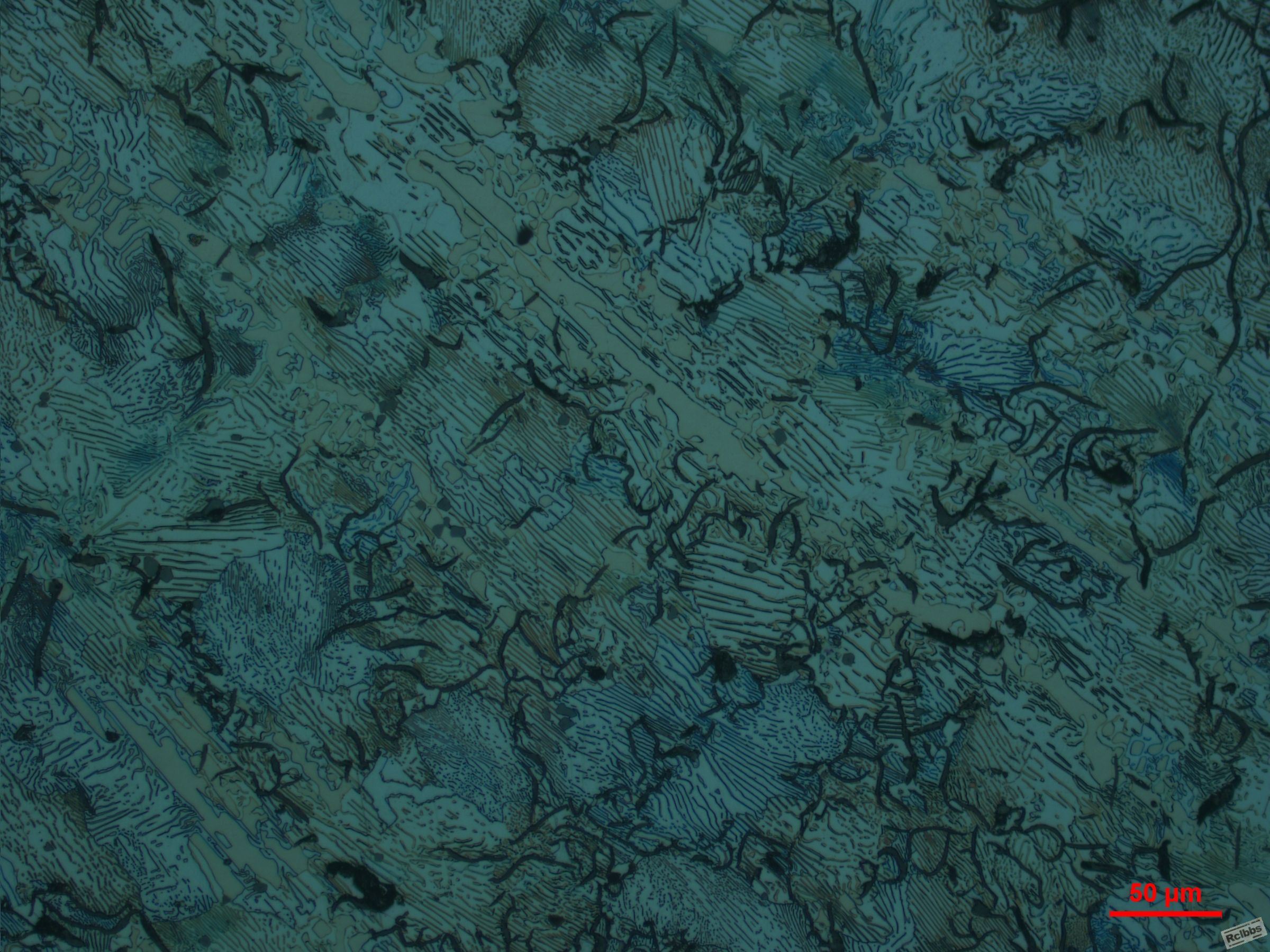 200X-1.JPG