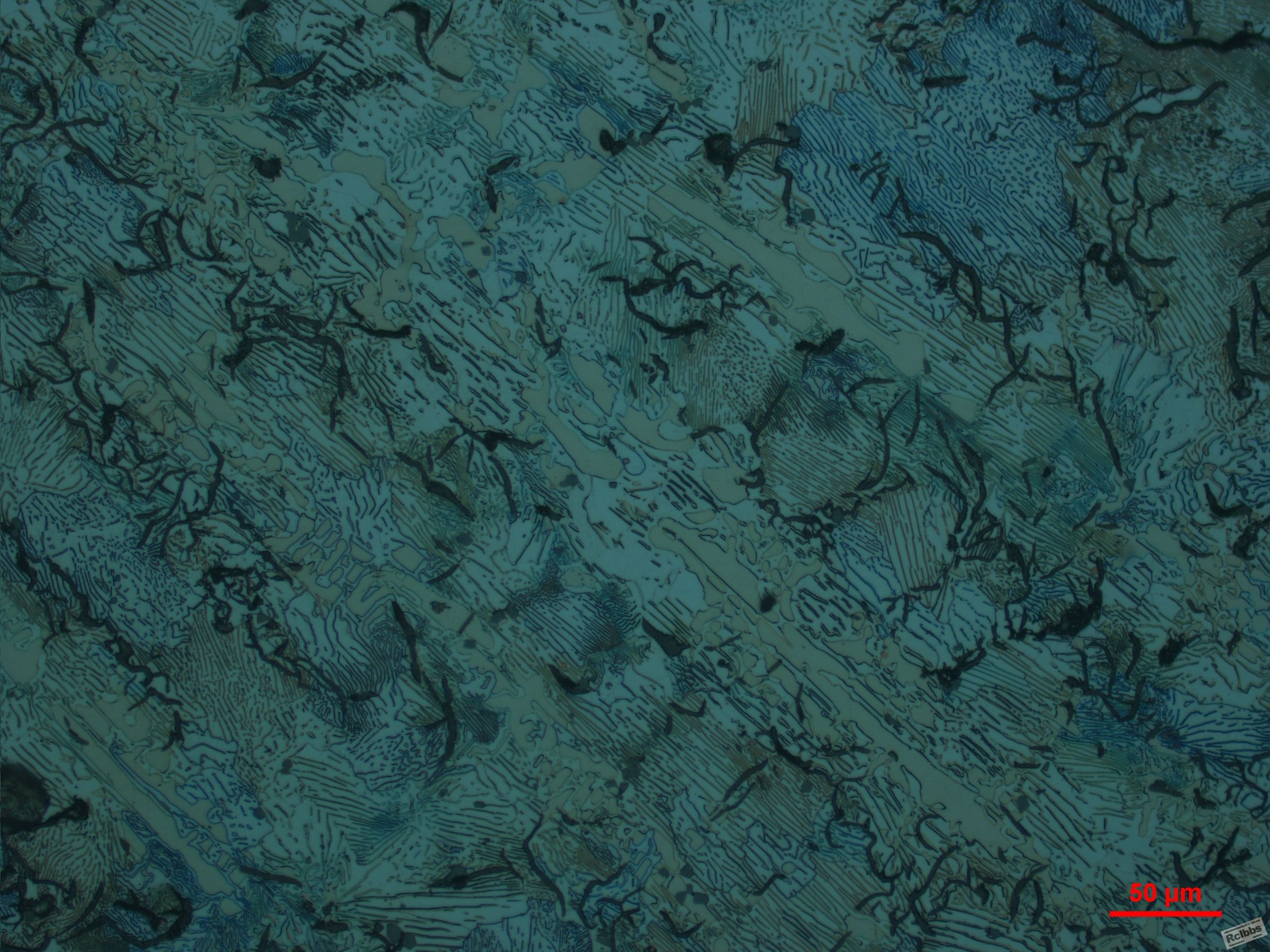 200X-2.JPG
