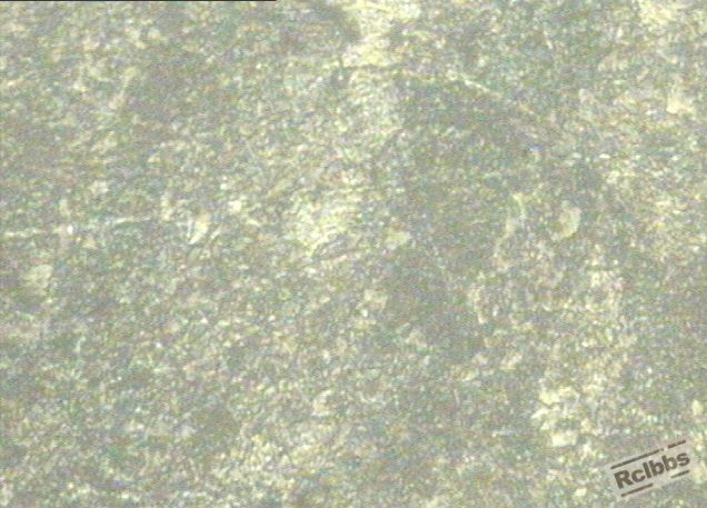 1600倍(2).jpg