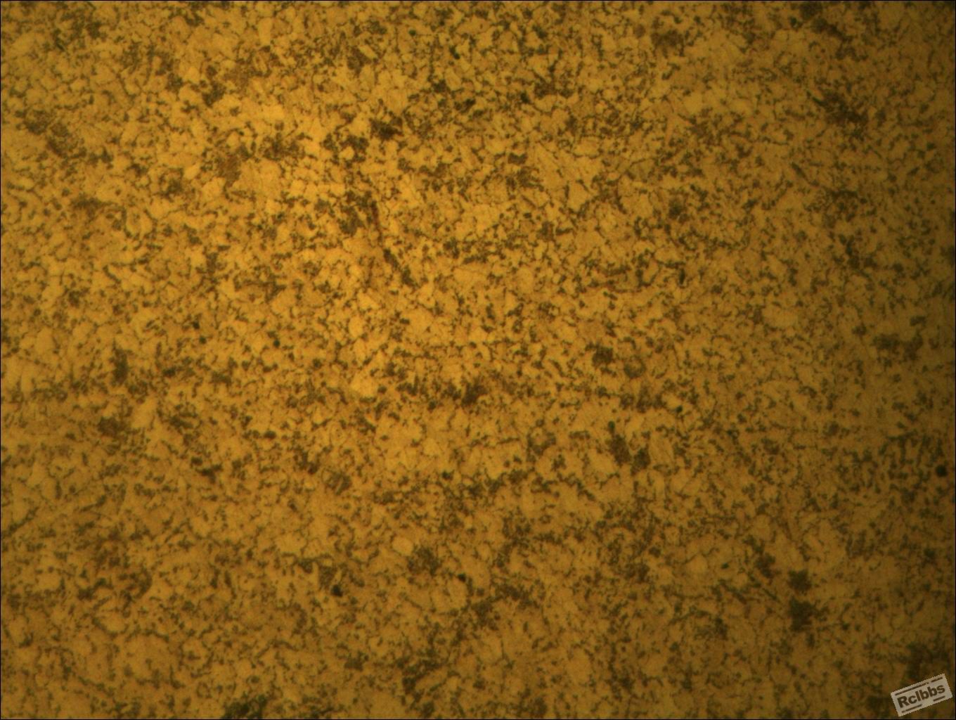 7036-0391-100-2.jpg