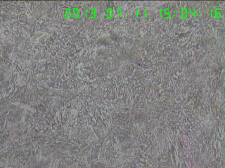 711j100.jpg