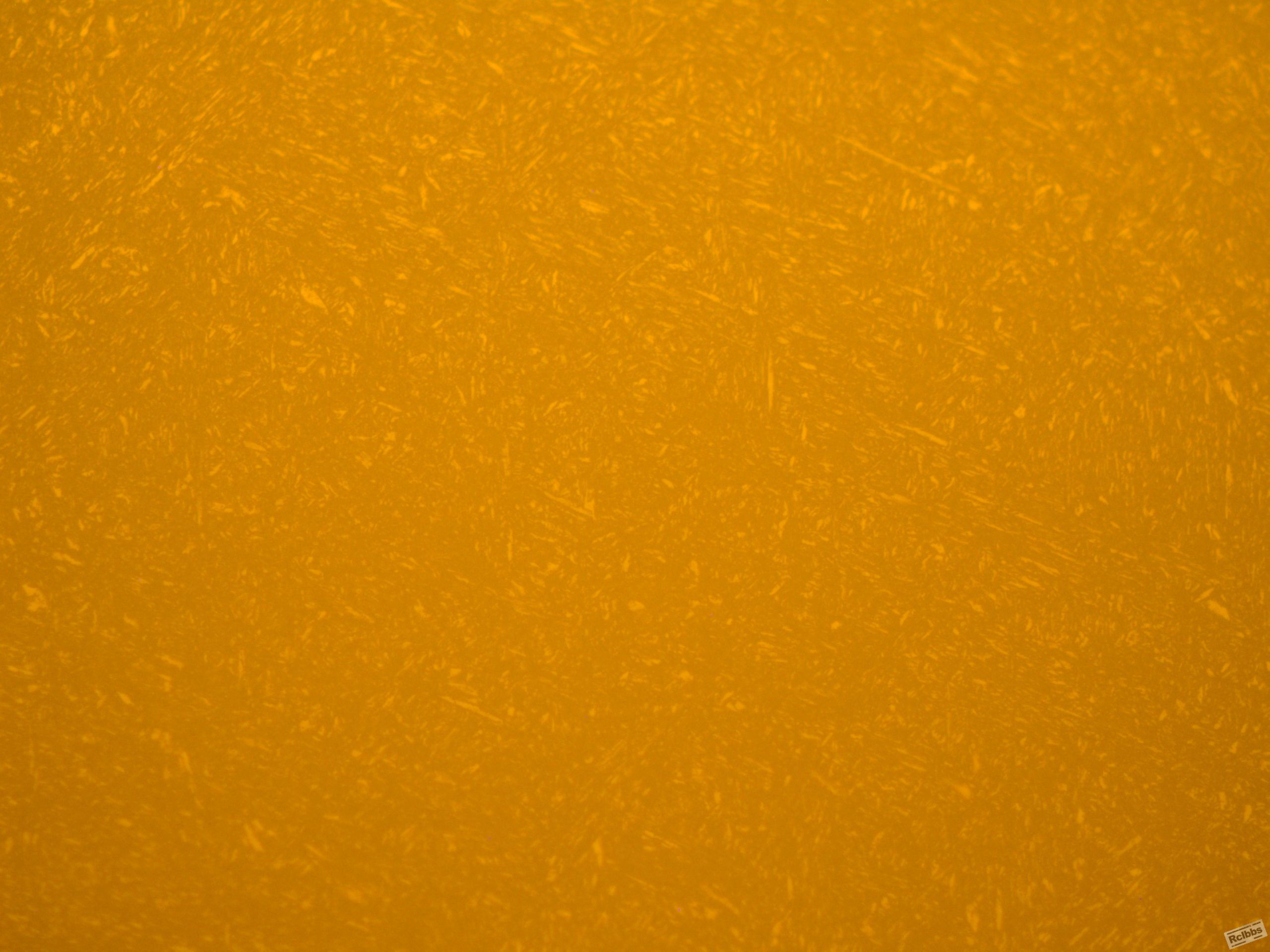 500x-2.JPG