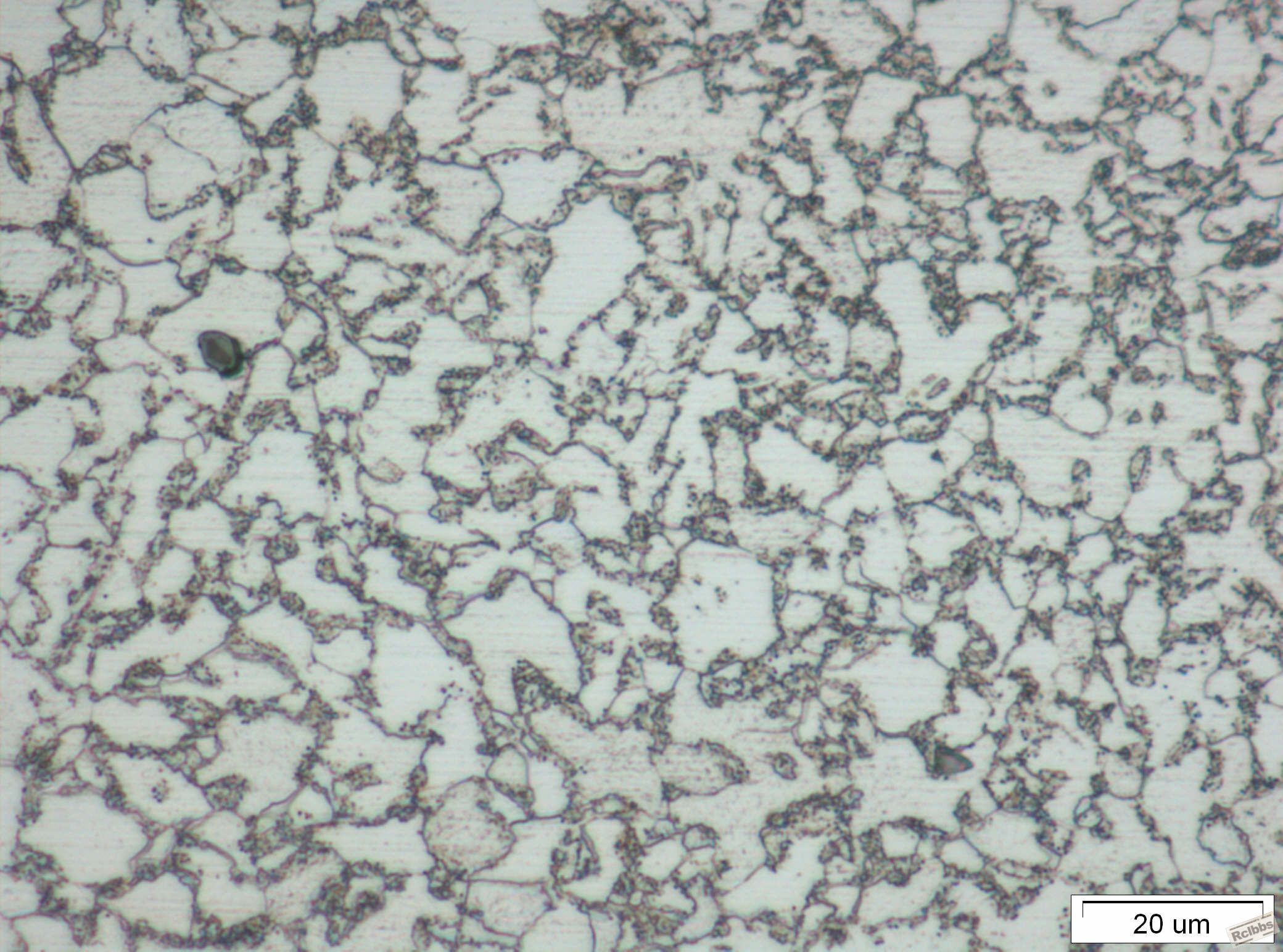 F048-03 500-2.jpg