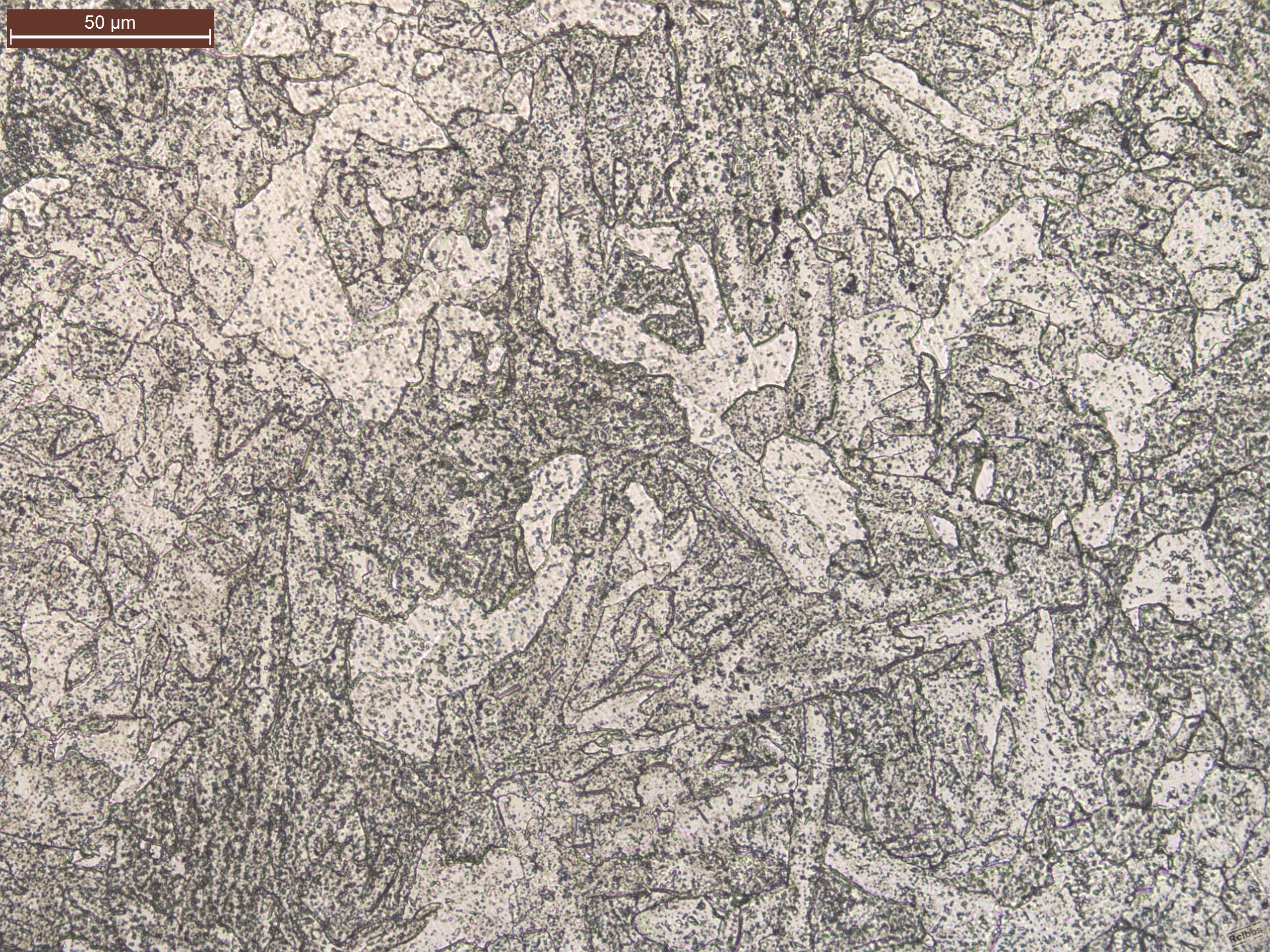 6_500X-1 - Copy.jpg