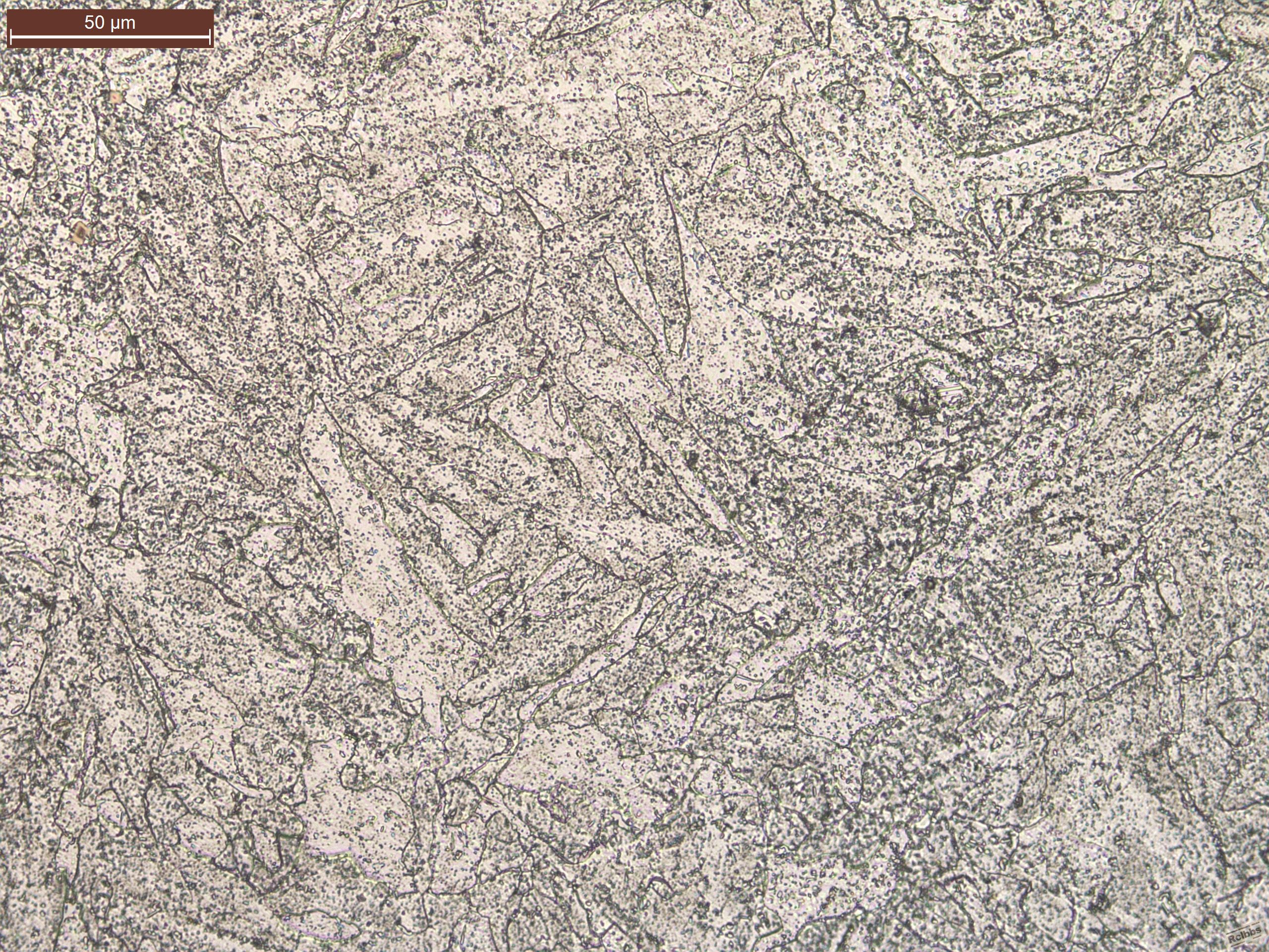 7_500X-1 - Copy.jpg