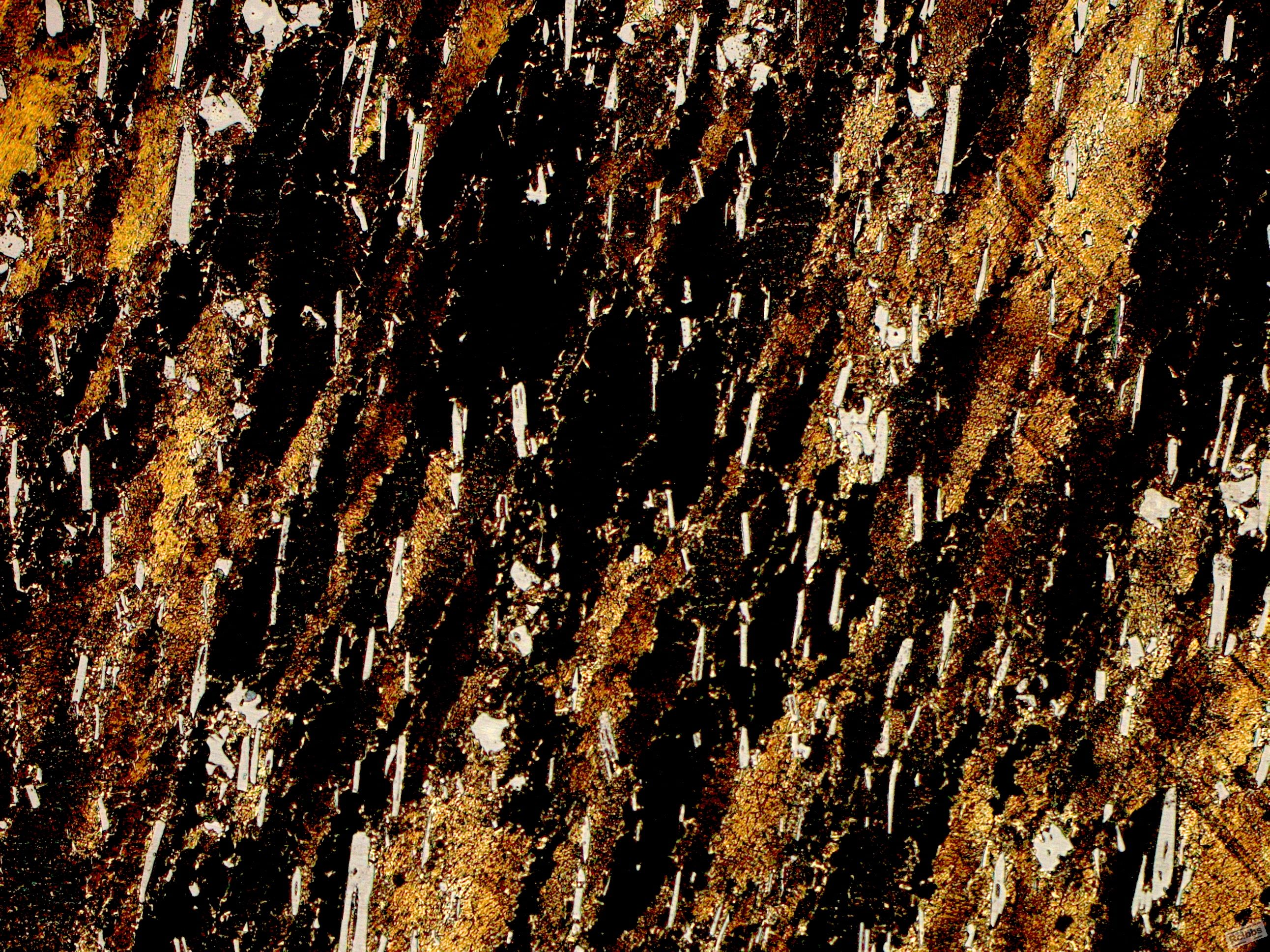 2#(1-2inner)200X.jpg