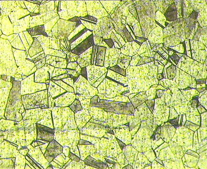 S31254.jpg