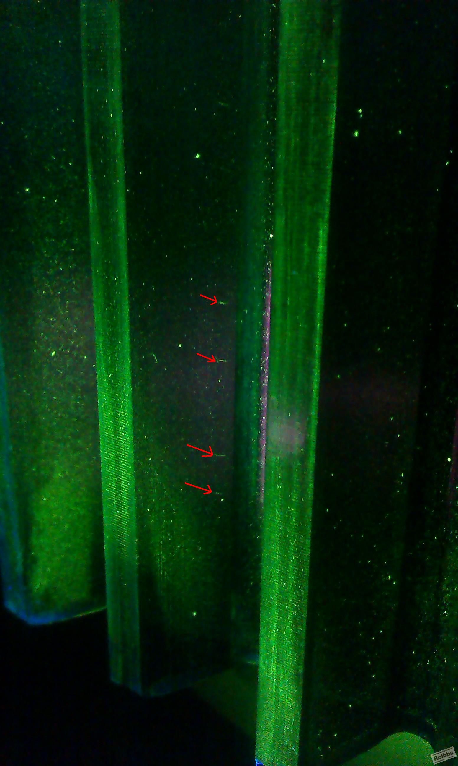 IMAG0171-1.JPG