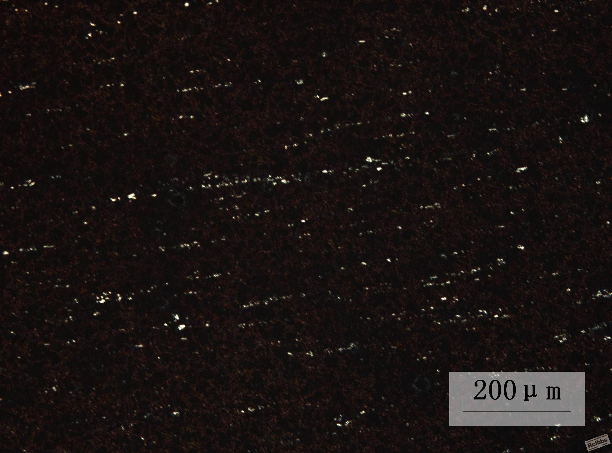 20-100-outer race-ruler.jpg