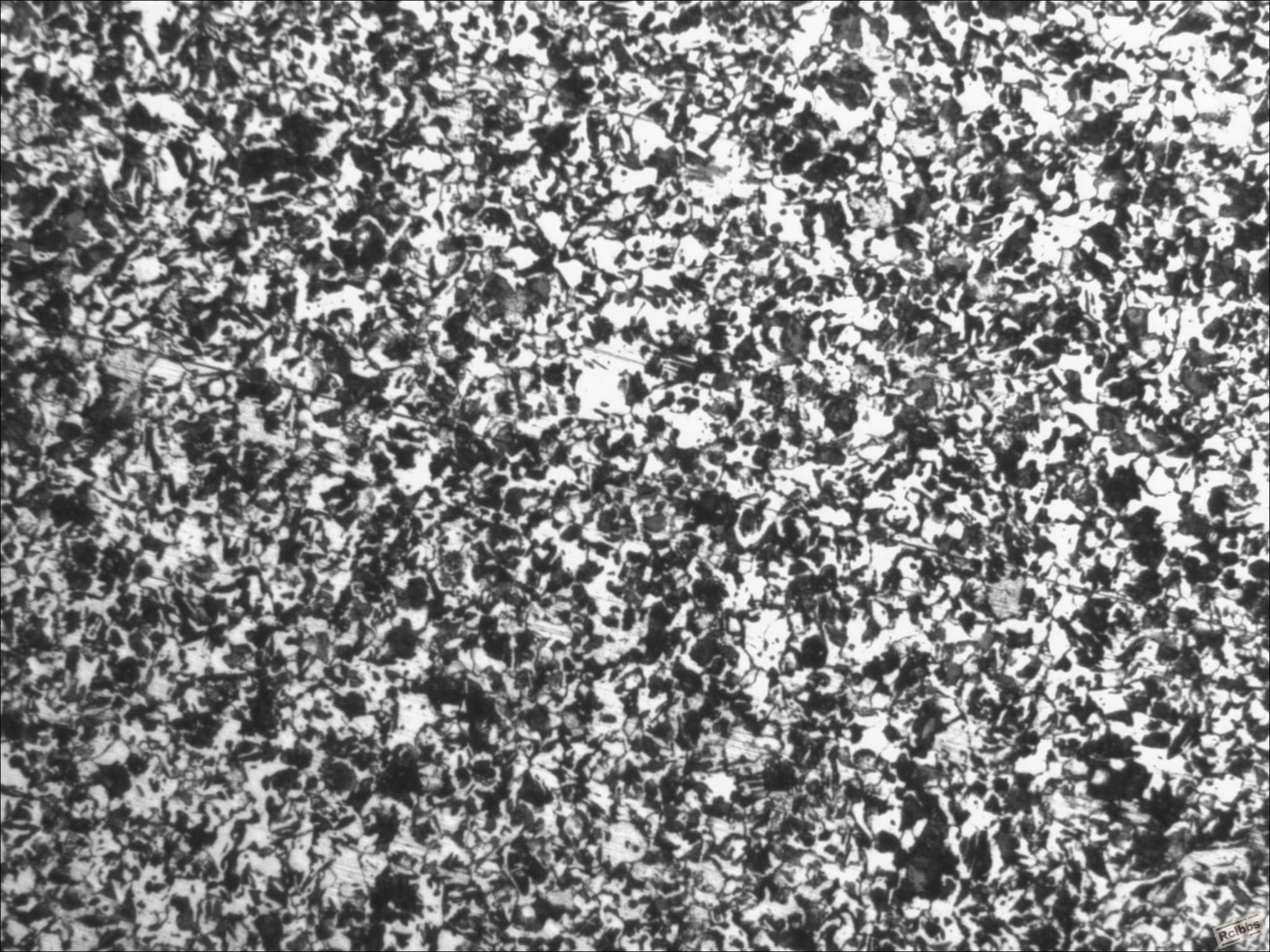 850℃正火100X
