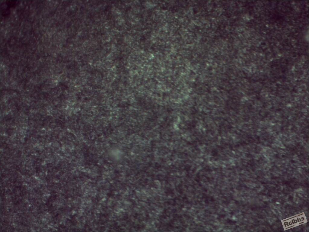 2013-8-8-11-39-43-165.jpg