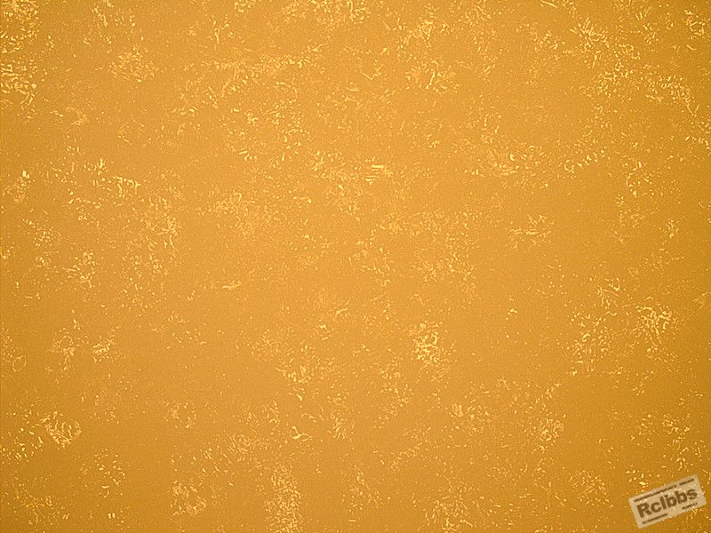 SN 234 100x-2_副本.jpg