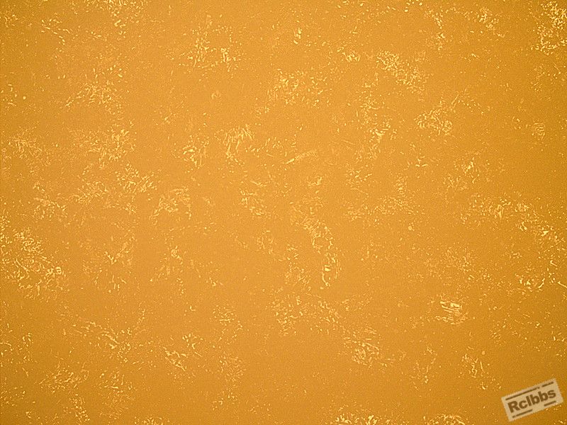 SN 234 100x-3号_副本.jpg