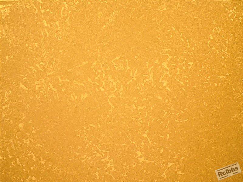 SN 234 500x-2_副本.jpg