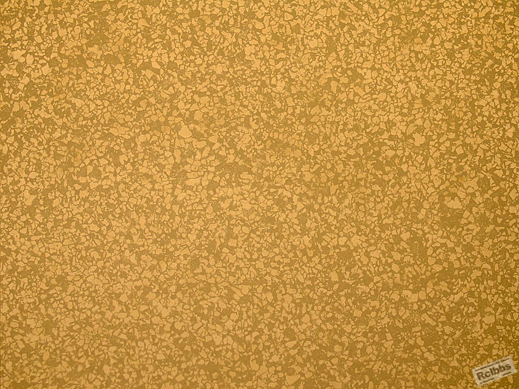 SN 234 正火 x100-2_副本.jpg