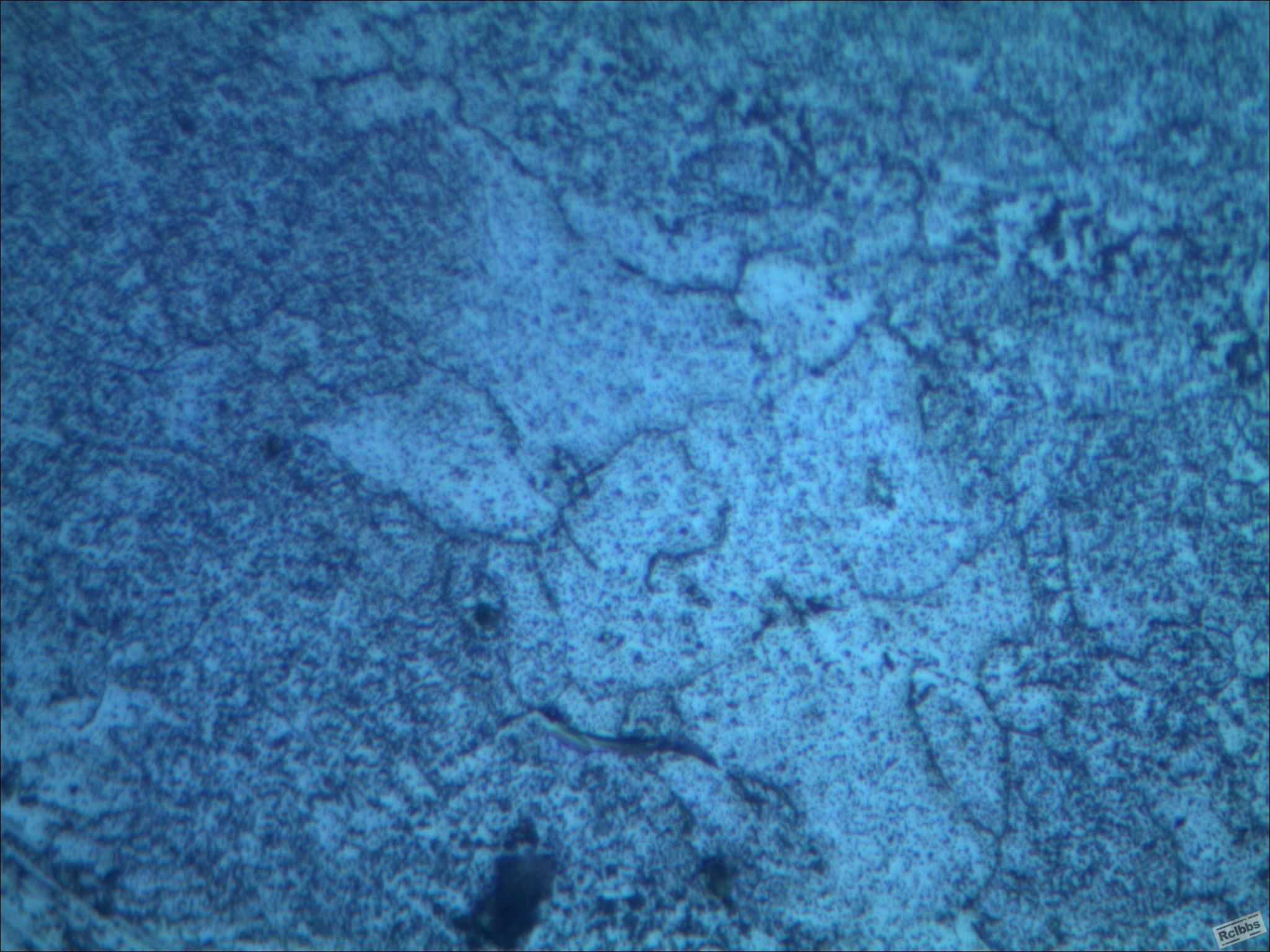 20130925101100625.jpg