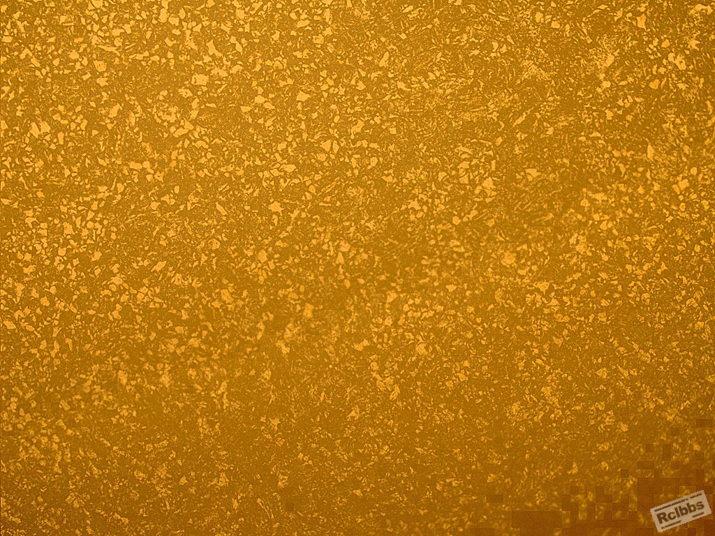 SN 234 正火 x100-1_副本.jpg