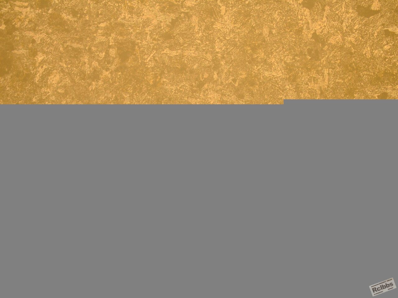 SN 518 正火 x100-1.jpg