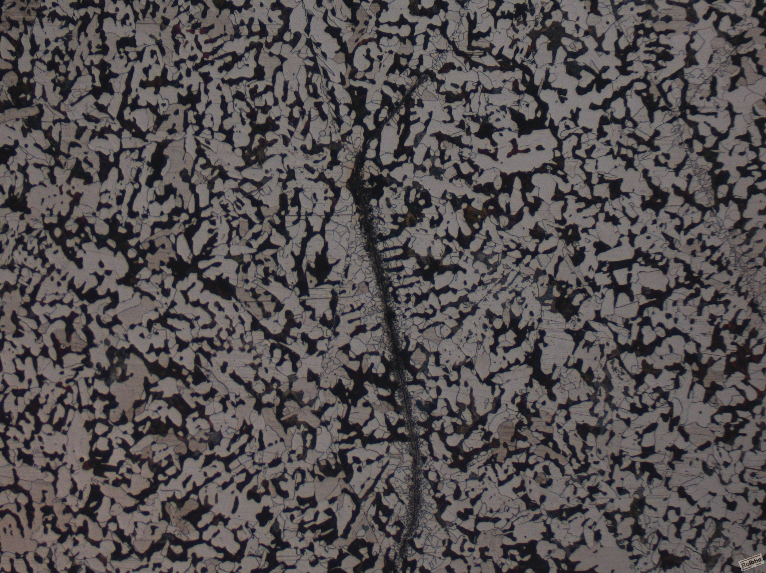 SNAP-155451-0008.jpg