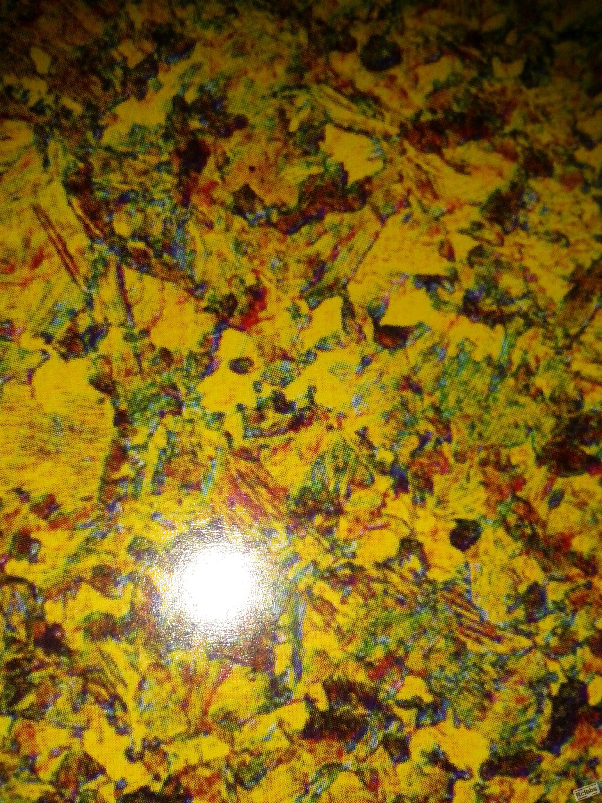 2013-09-07_12-23-07_604.jpg