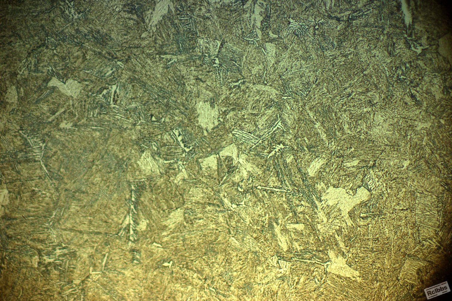 131803 4#1000XImg9535.jpg