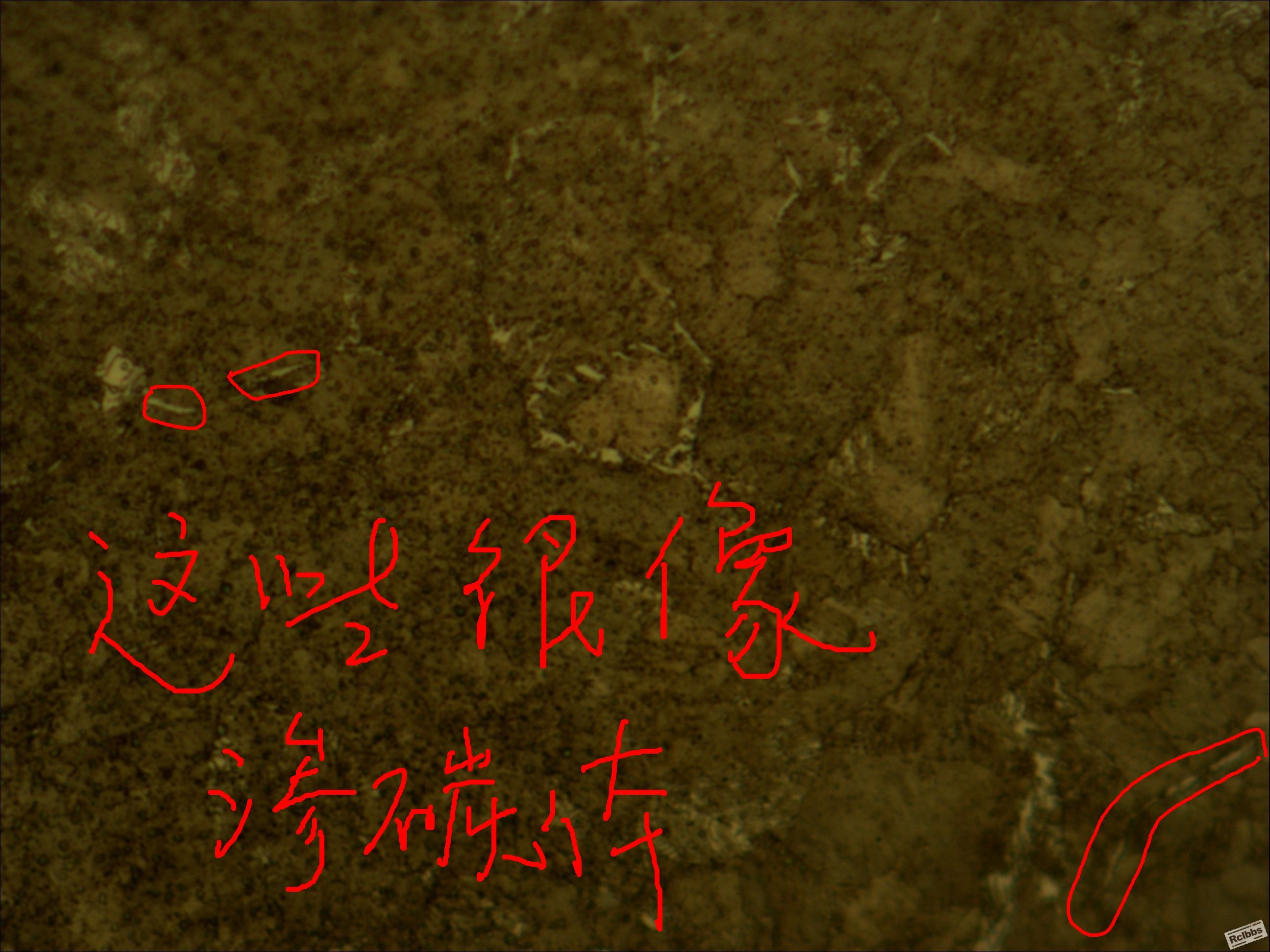202156ki4kpik4upml4f5i.jpg
