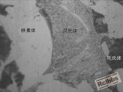 20CrMnMo热轧组织.jpg