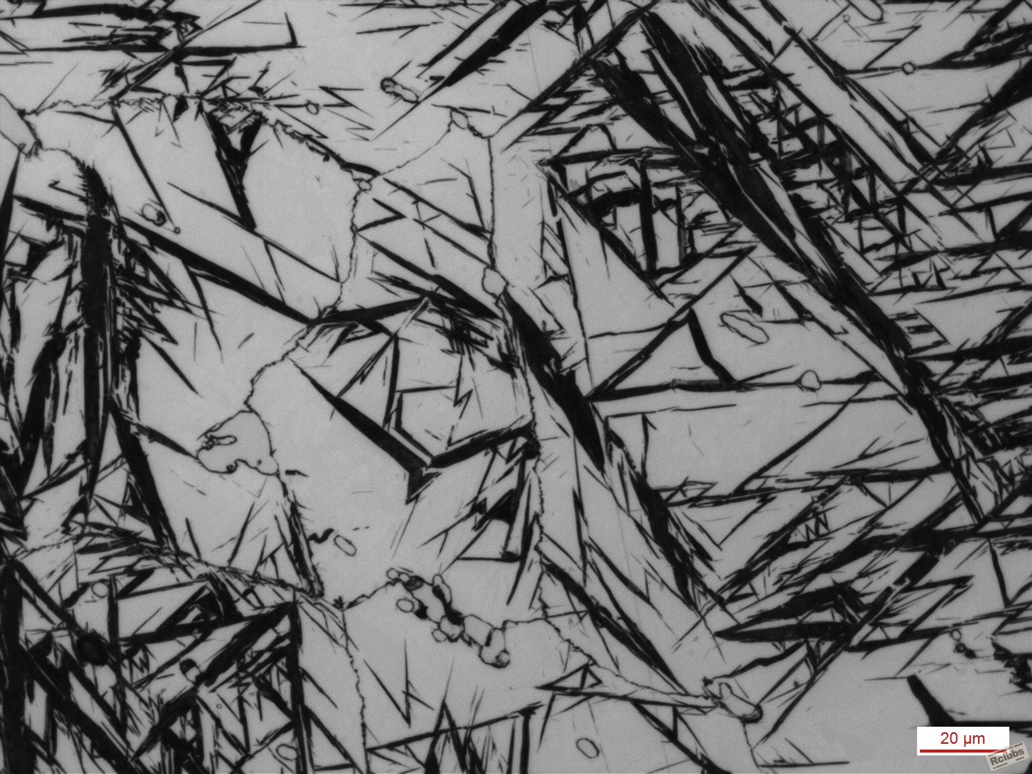 500X0033.jpg