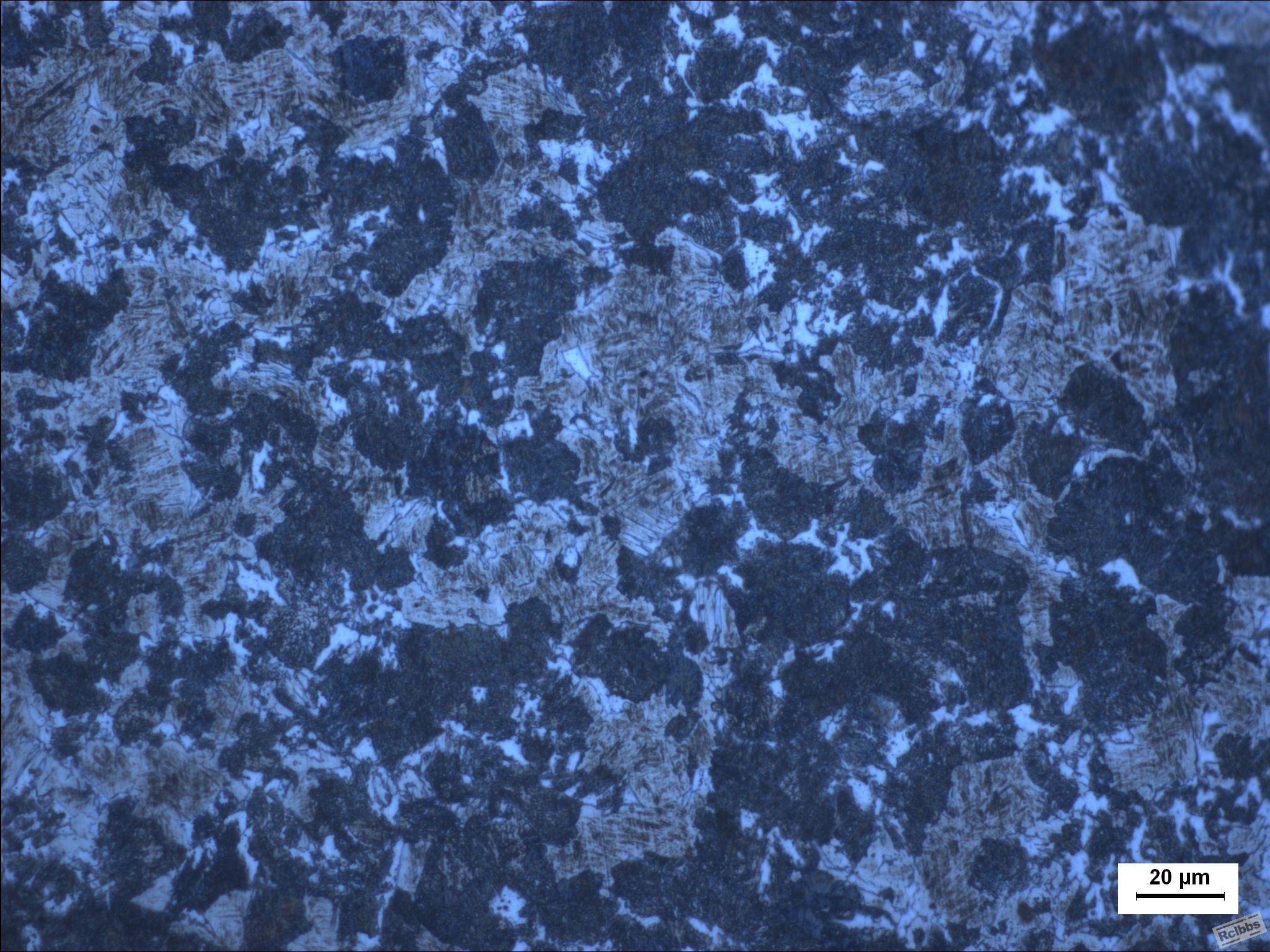 s(30丝).JPG