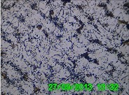 25#100x.jpg