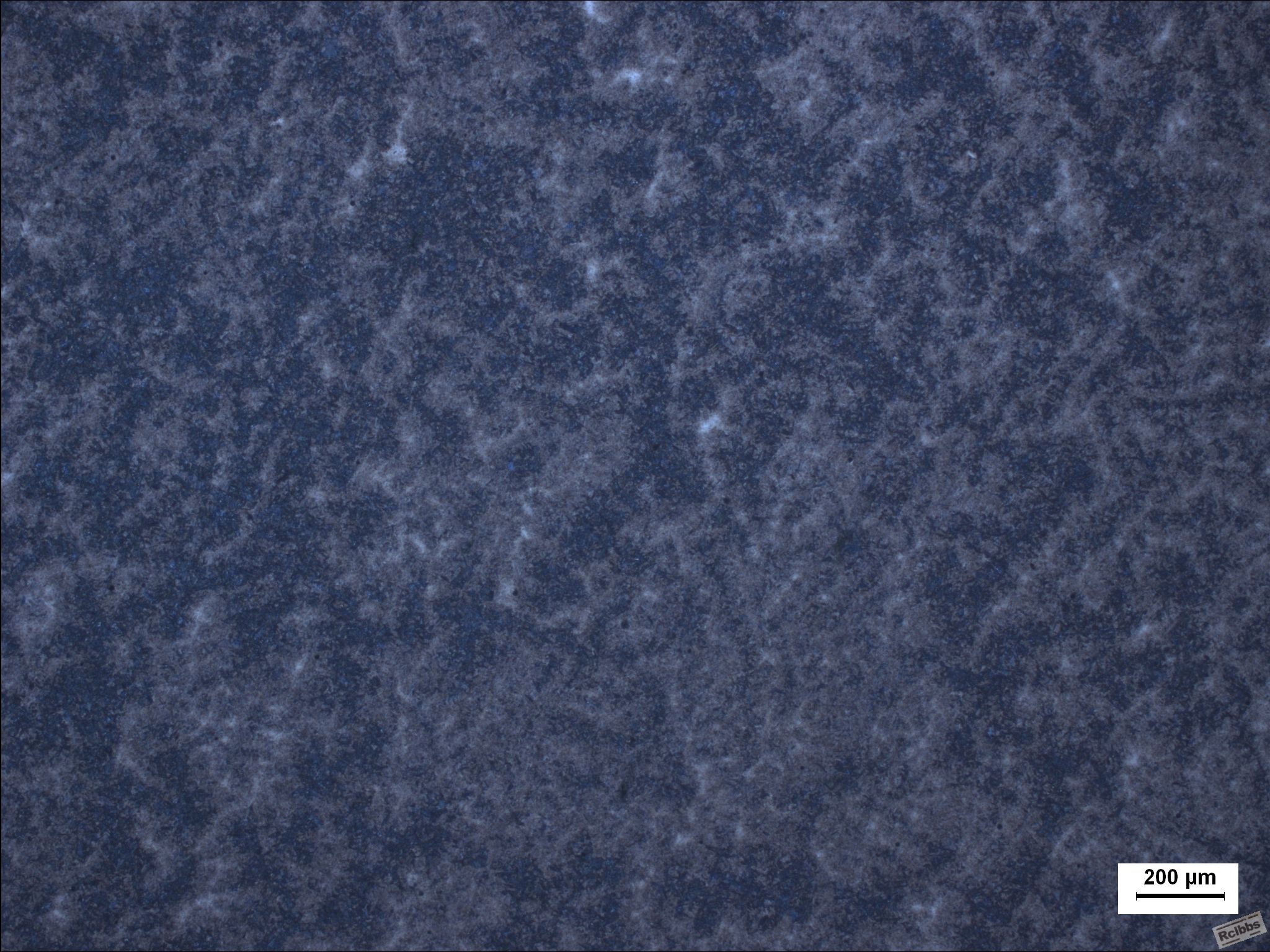 心部50×.JPG