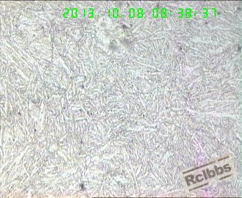 h13b100.jpg
