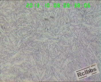H13b200.jpg