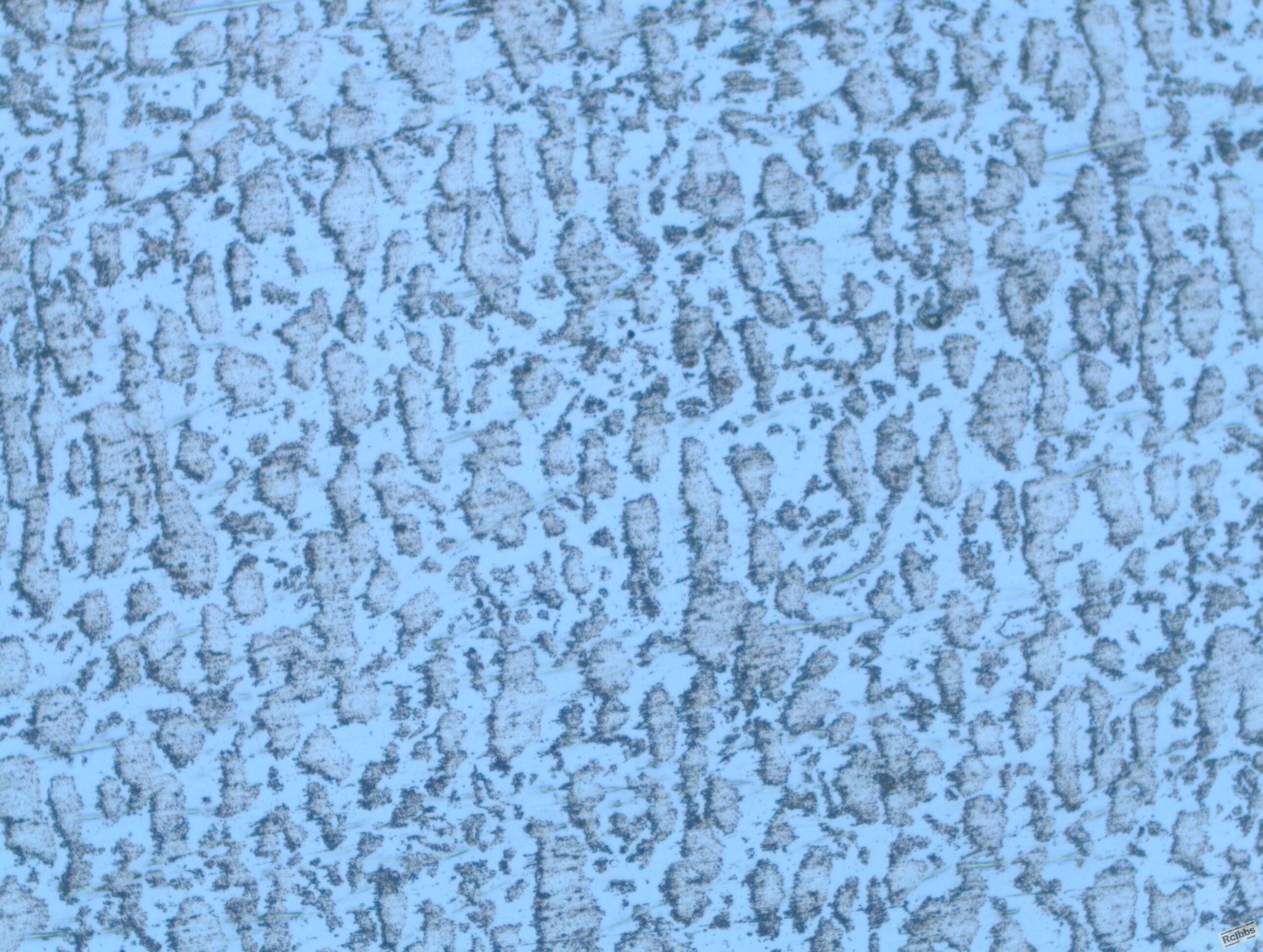 F51 12#.jpg