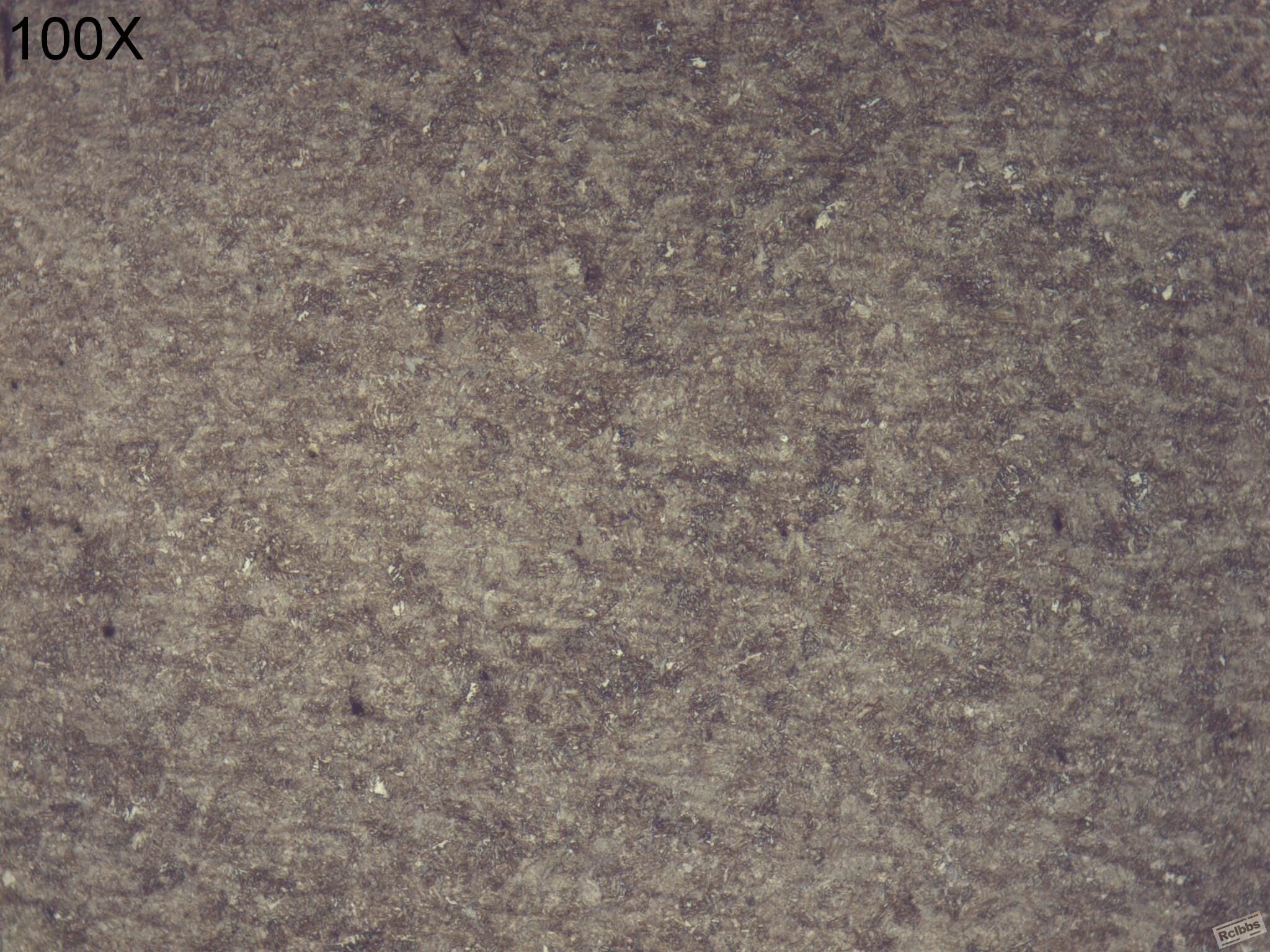 轴 (远离） 100X  J 131017_001.JPG
