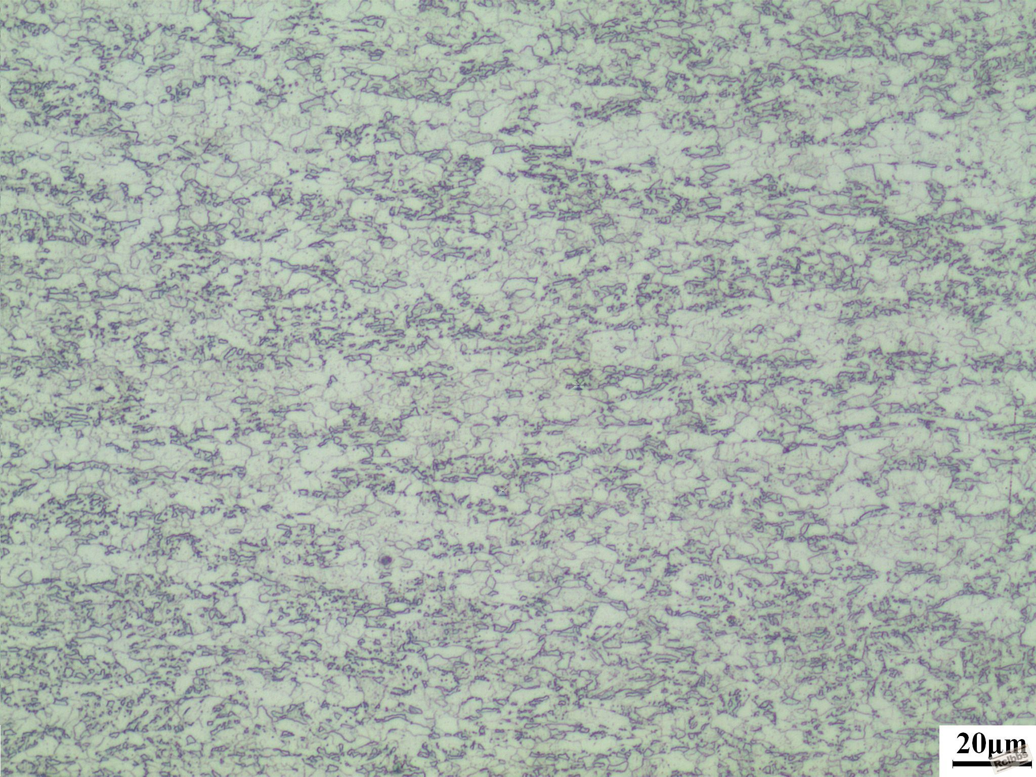 钢板Q550--1X500X.JPG