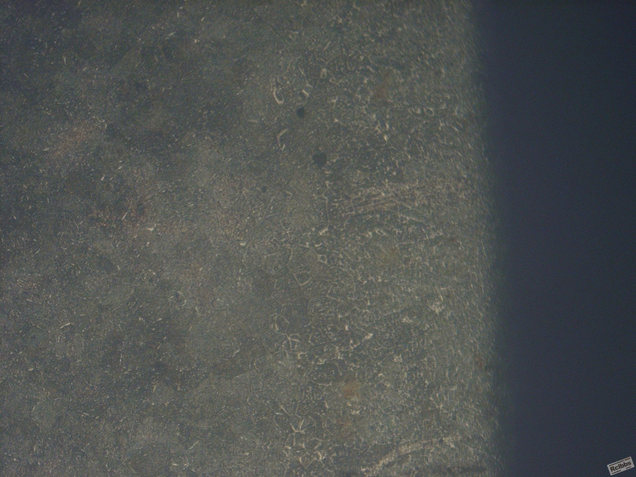 PB050259.JPG