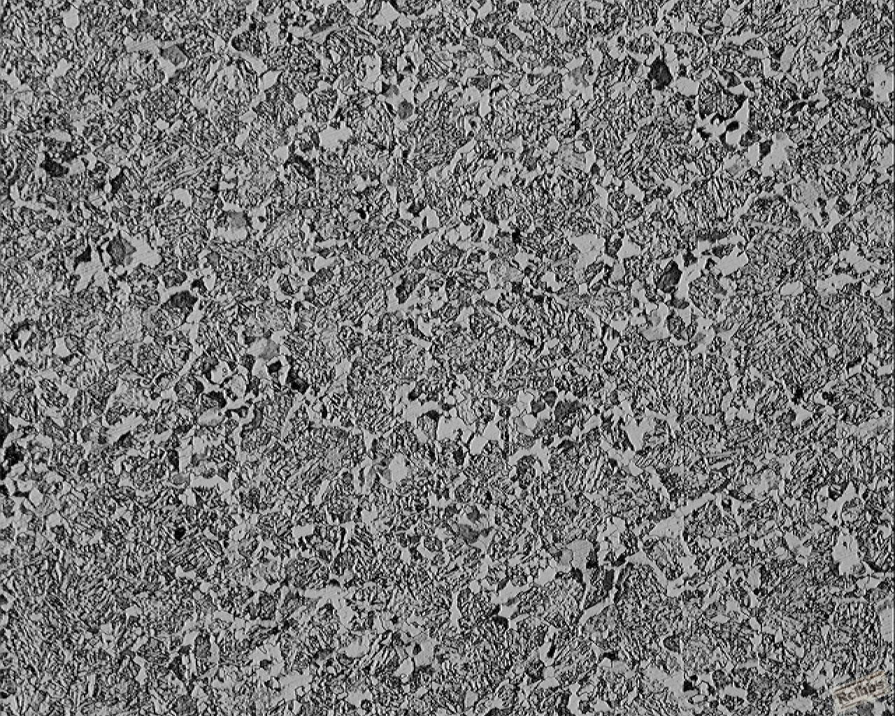 组织354A8026[1]100.jpg