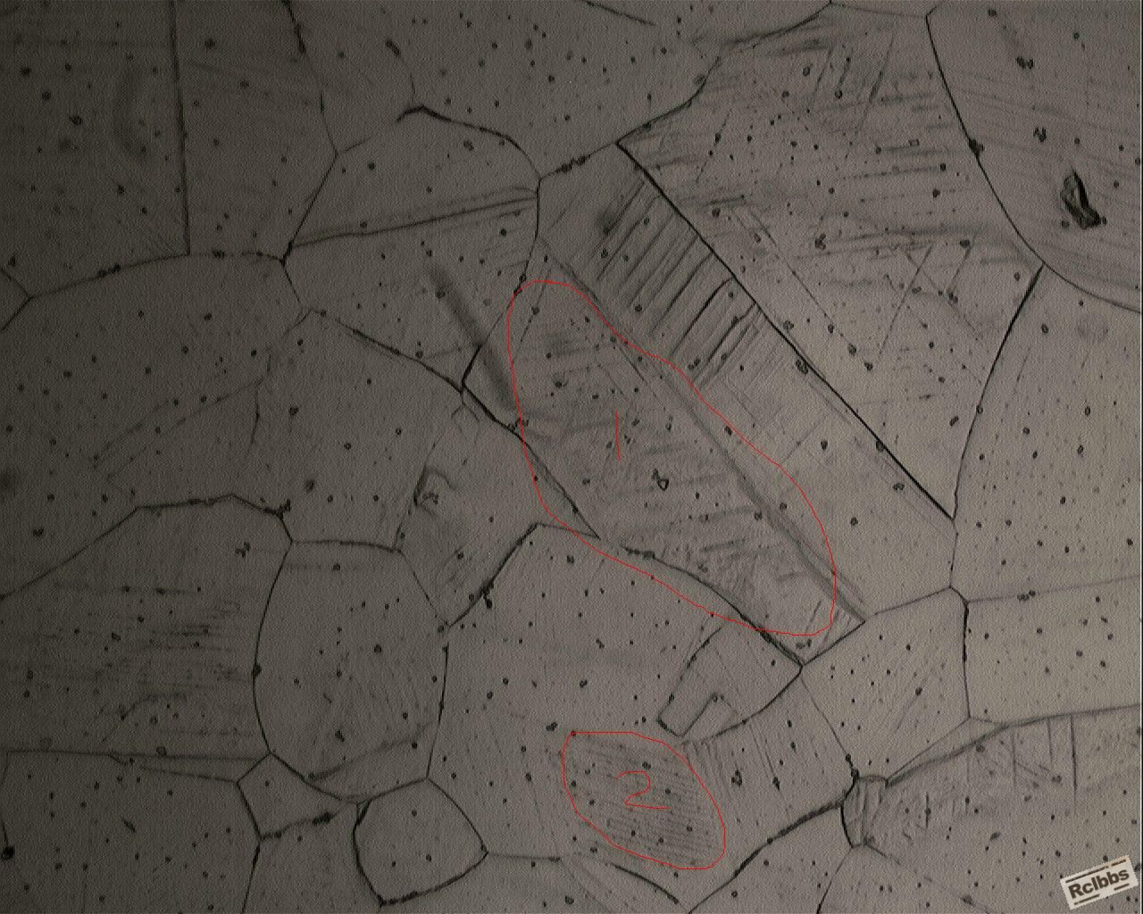151835edetwefwr8gnrtfz.jpg