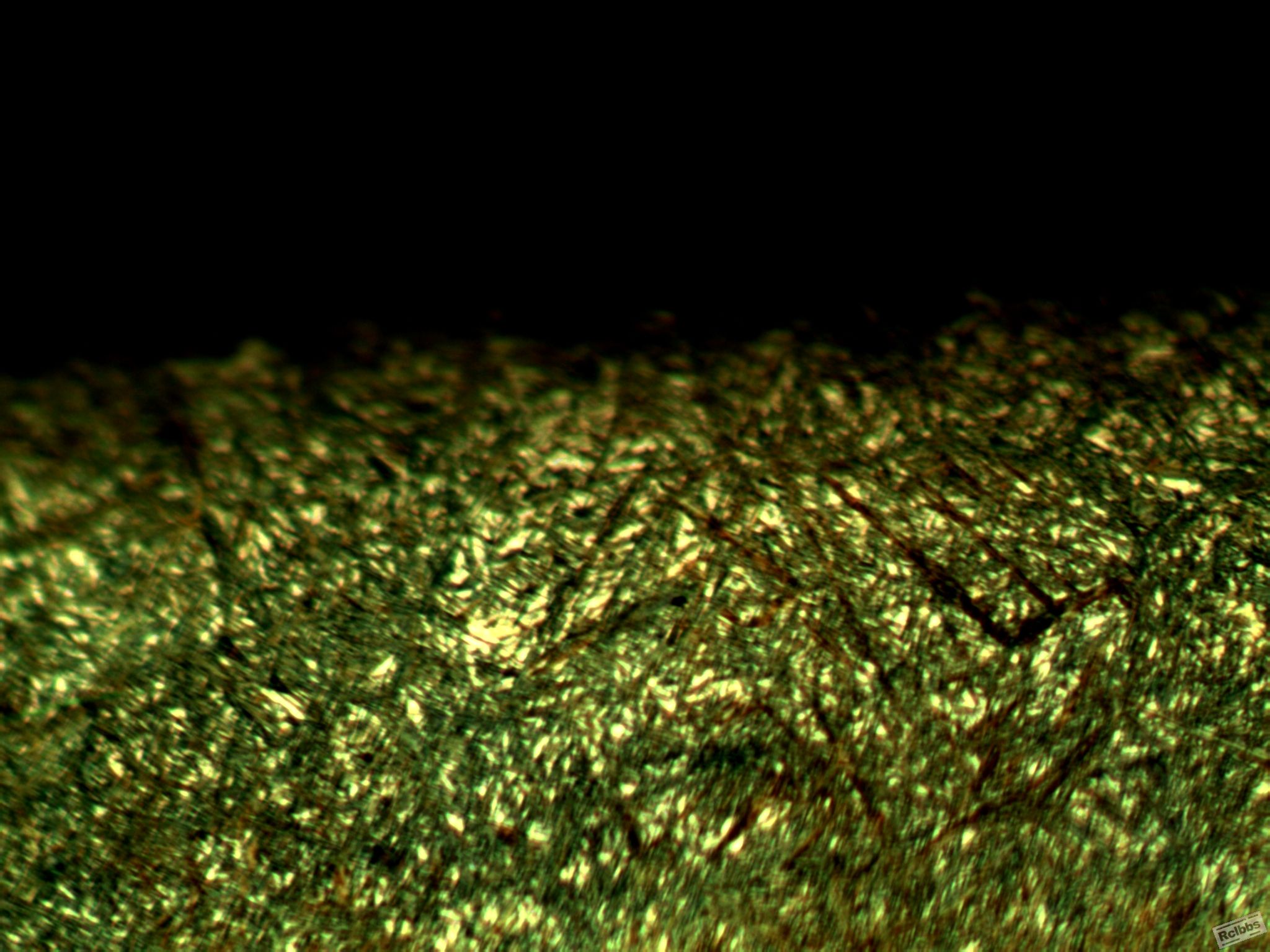 TSView0905.JPG
