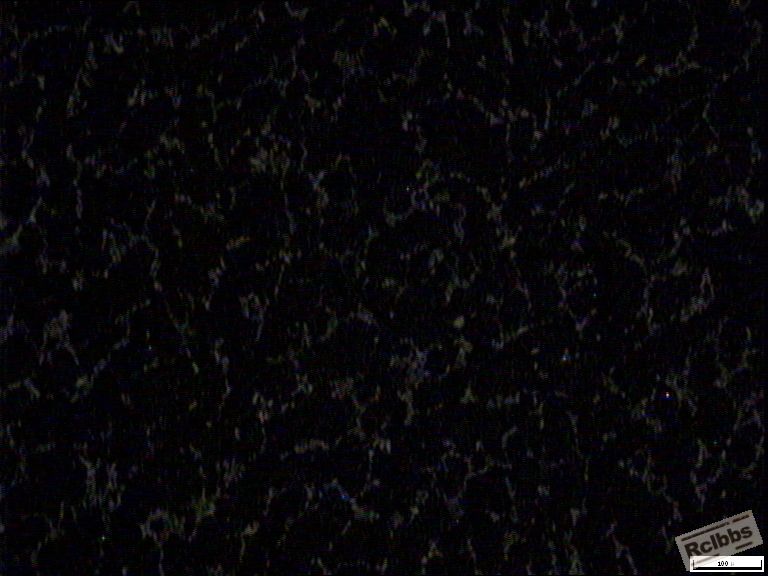 Cr12MoV   热作模具钢-2.JPG